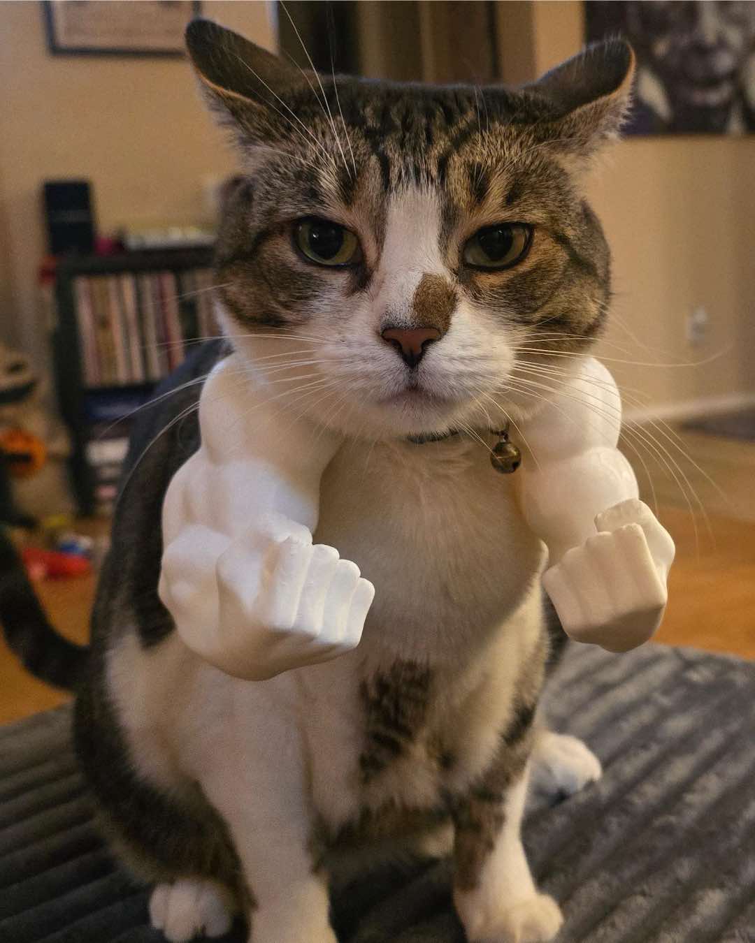 FlexiCats™ Muscles – Viral 3D Cat Accessory